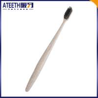 Factory Wholesale Eco Friendly Wheat Straw Tooth Brush